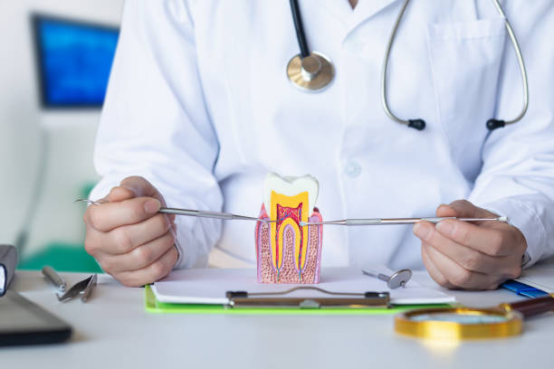 Best Emergency Dentist for Special Needs Patients in Falconer, NY